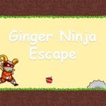 Ginger Ninja Escape